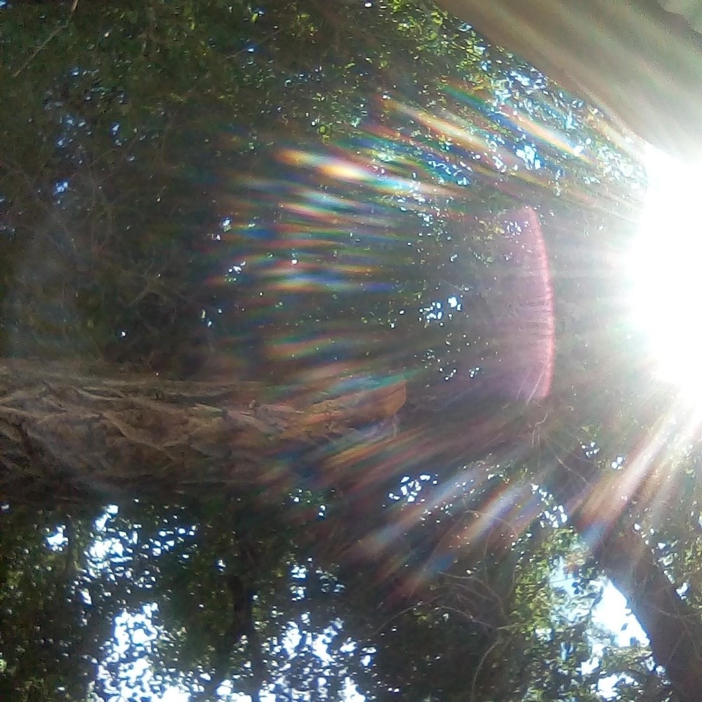 Meet your Posher, Tommy